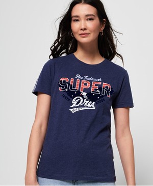 Superdry Eagle Star Flock Női Pólók Kék | OFHDQ8295